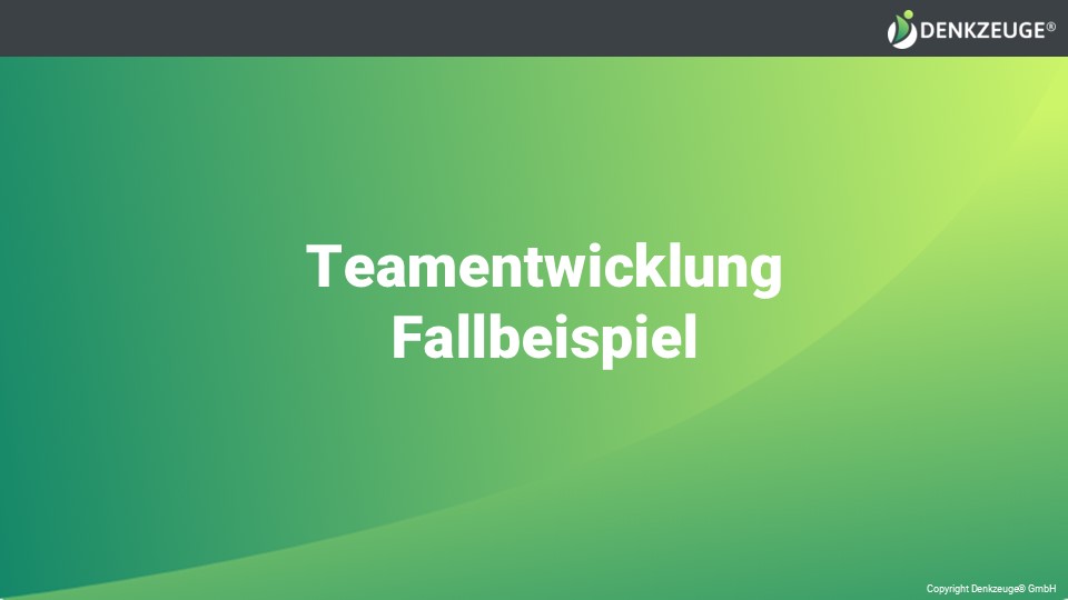 Fallbeispiel aus der Führungs- und Teamentwicklung