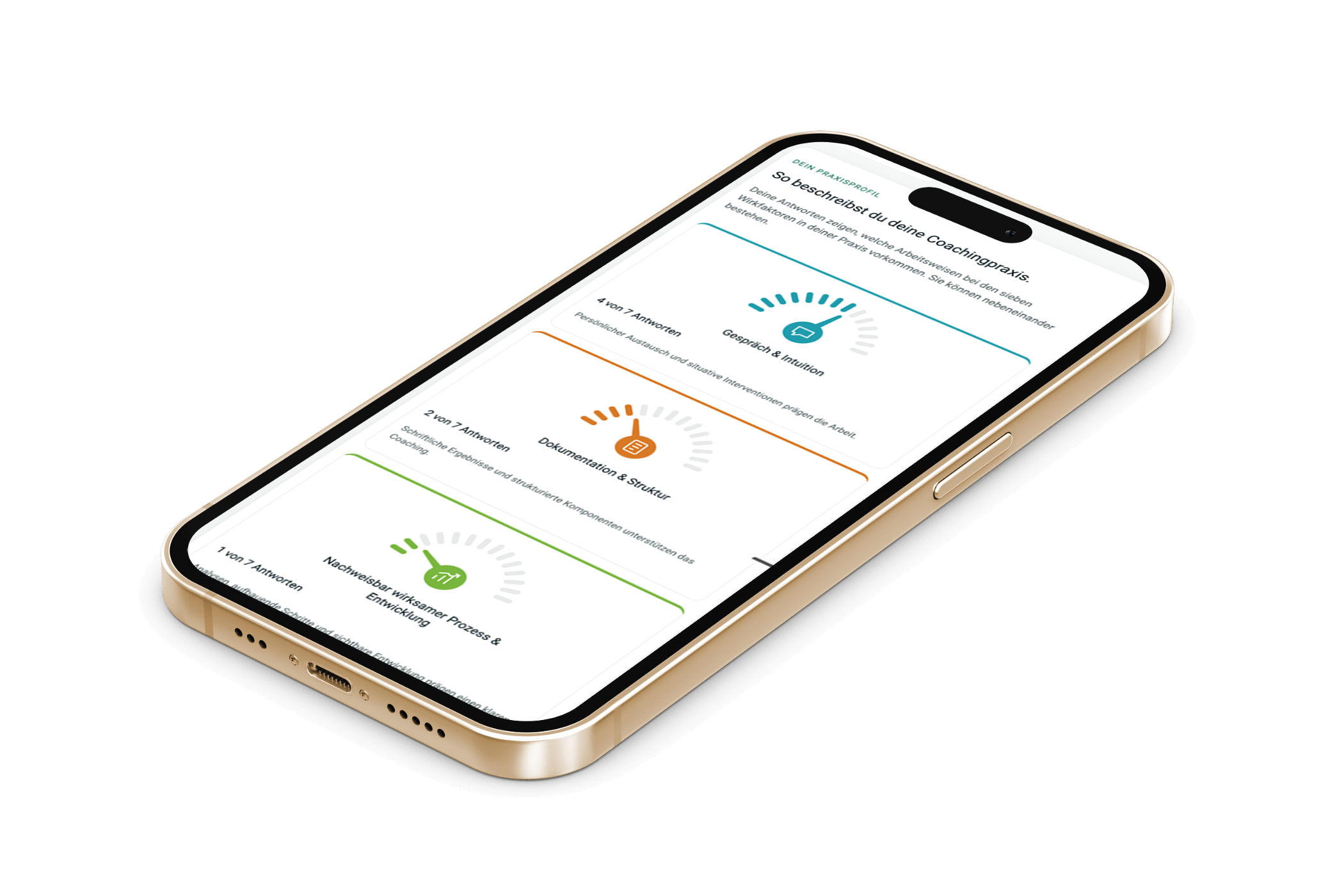 Visuelle Auswertung des Denkzeuge Coaching-Wirksamkeits-Checks